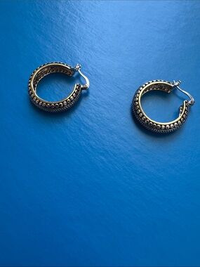 Two-Tone Hoop Earrings in Gold and Silver